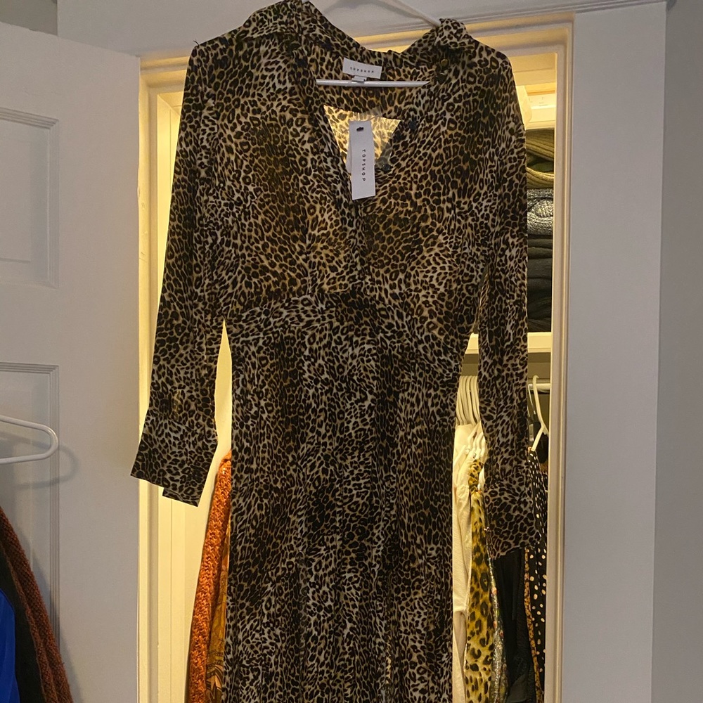 TopShop Leopard Dress